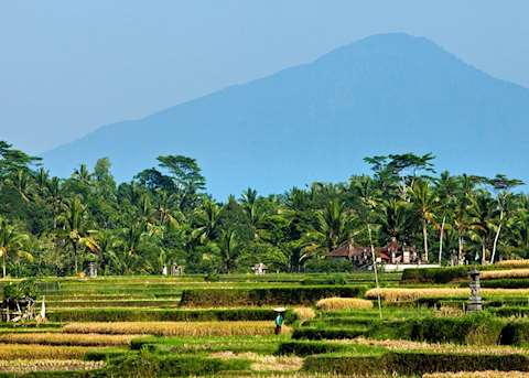 Paddy fields and Mount Agung, Bali, Indonesia Paddy fields and Mount Agung, Bali, Indonesia