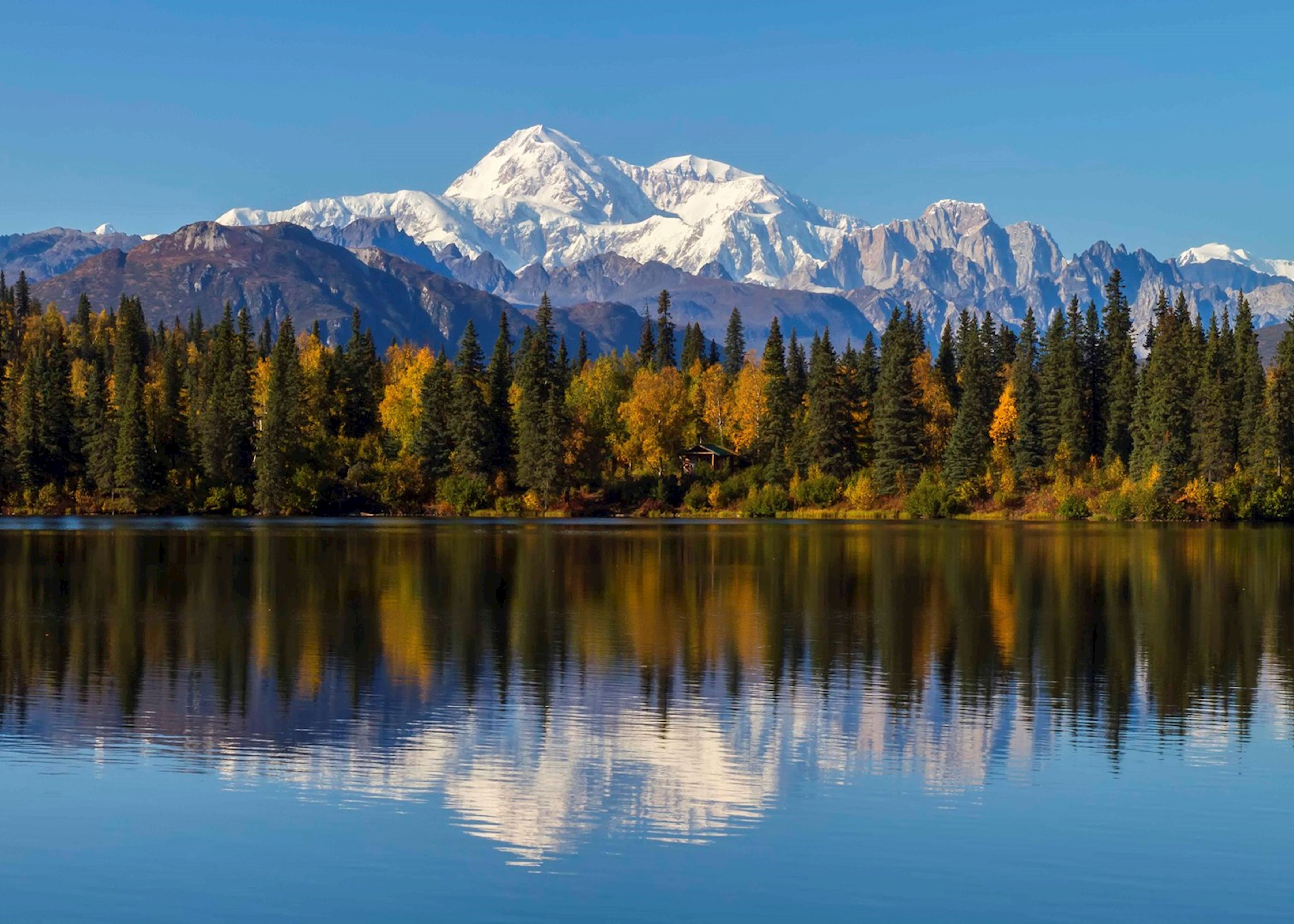 Mt Denali Mt Denali