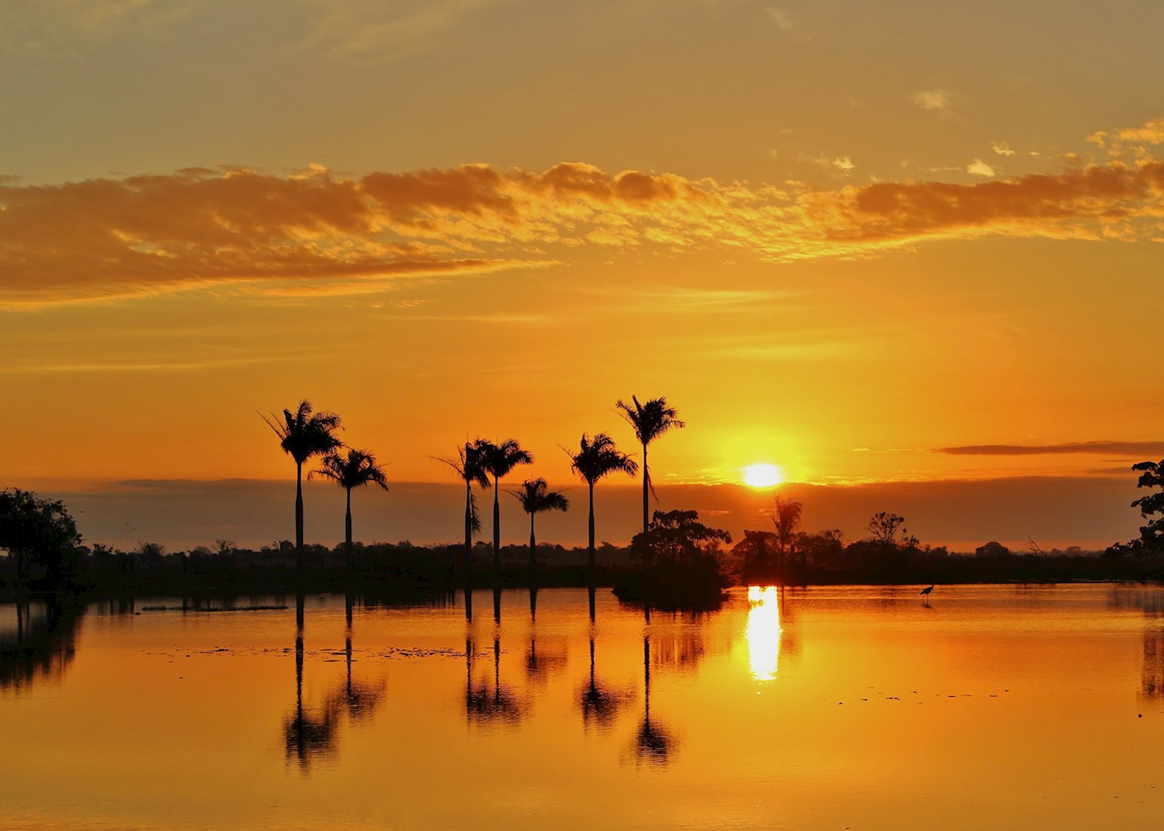 Visit Los Llanos On A Trip To Colombia Audley Travel UK