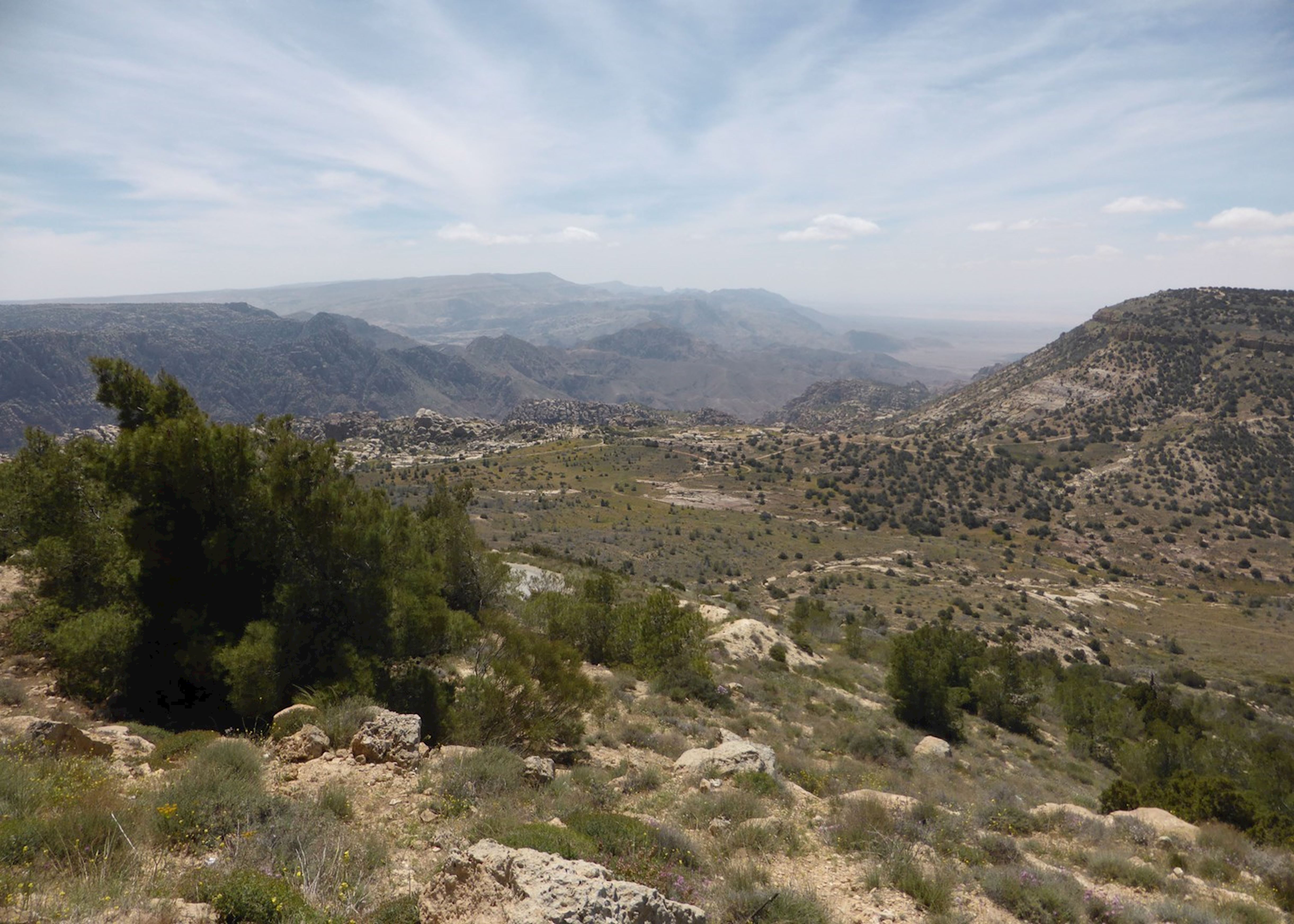 Dana Nature Reserve,Jordan Dana Nature Reserve,Jordan