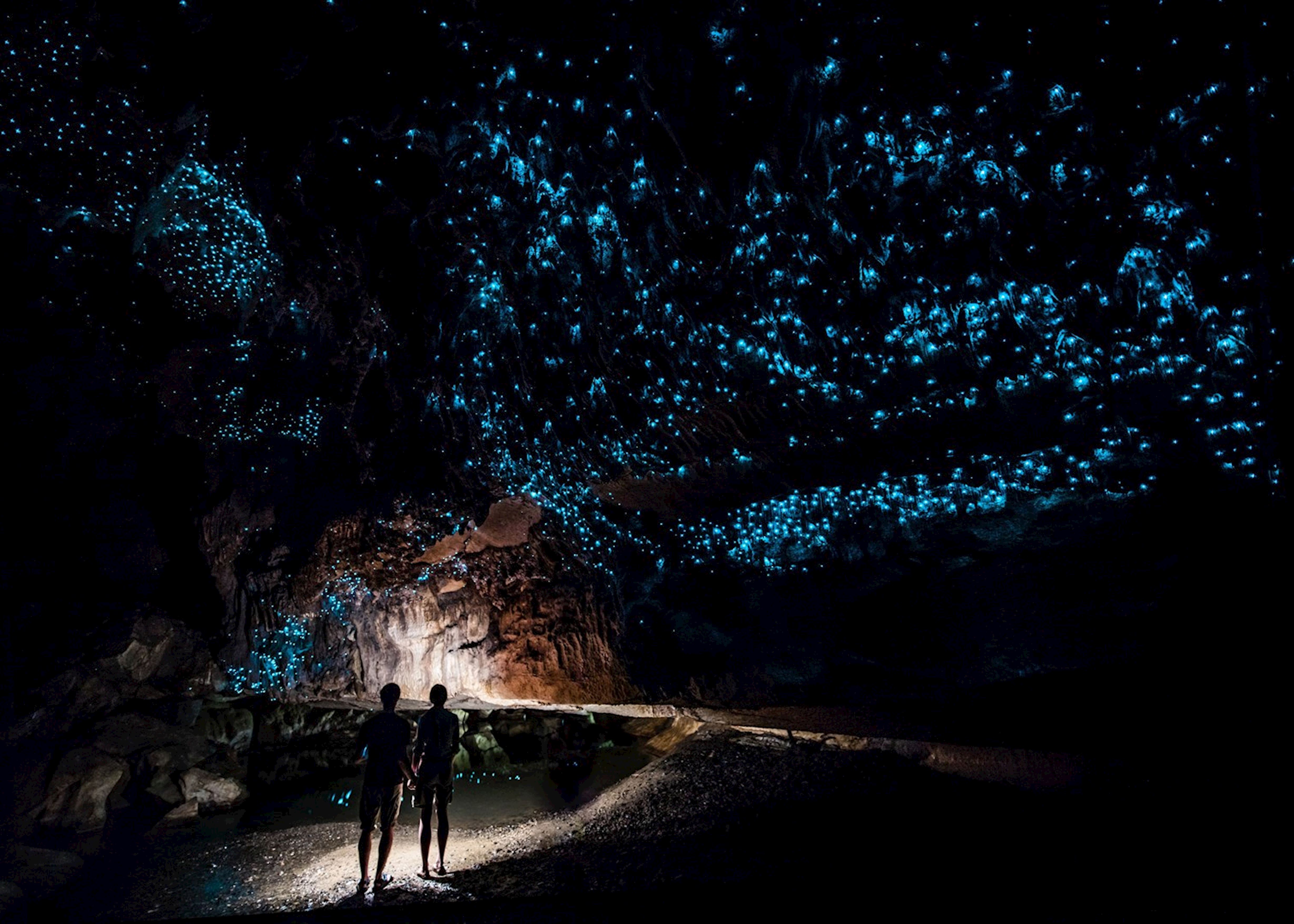 Waitomo caves. Пещеры светлячков Вайтомо, новая Зеландия. Пещера Уэйтомо Глоуворм в новой Зеландии. Светящиеся пещеры Вайтомо новая Зеландия. Светлячковые пещеры Вайтомо в новой Зеландии.