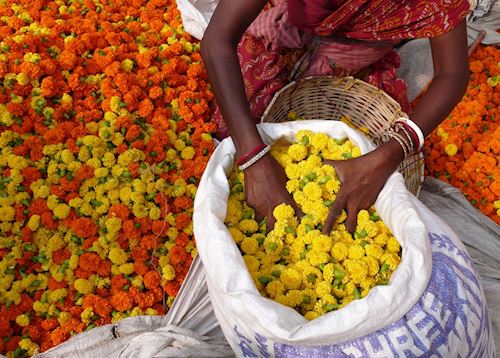 Flower market, Calcutta