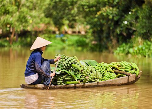Fruit seller in the Mekong Delta