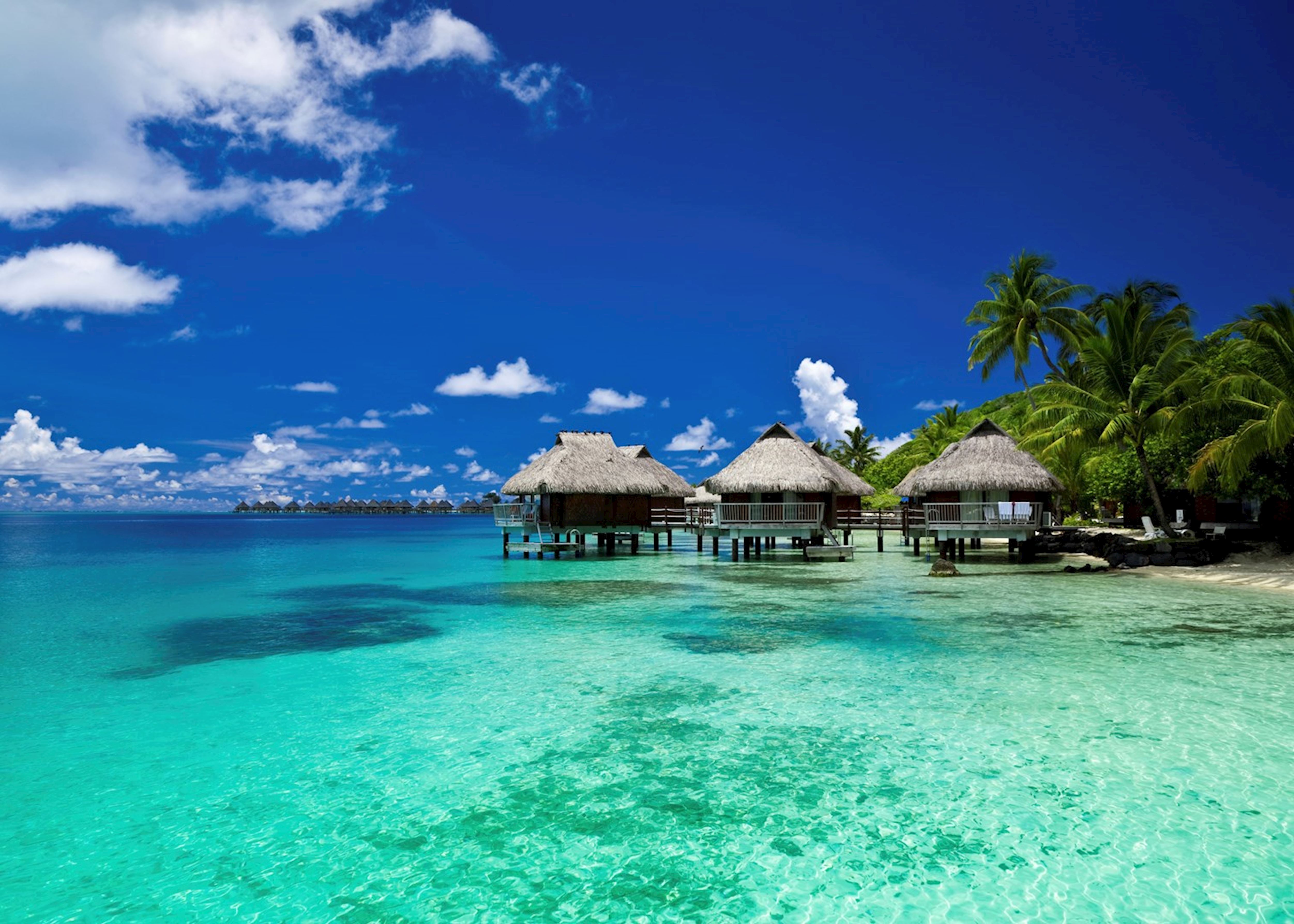 527225 Overwater Bungalows In Bora Bora 