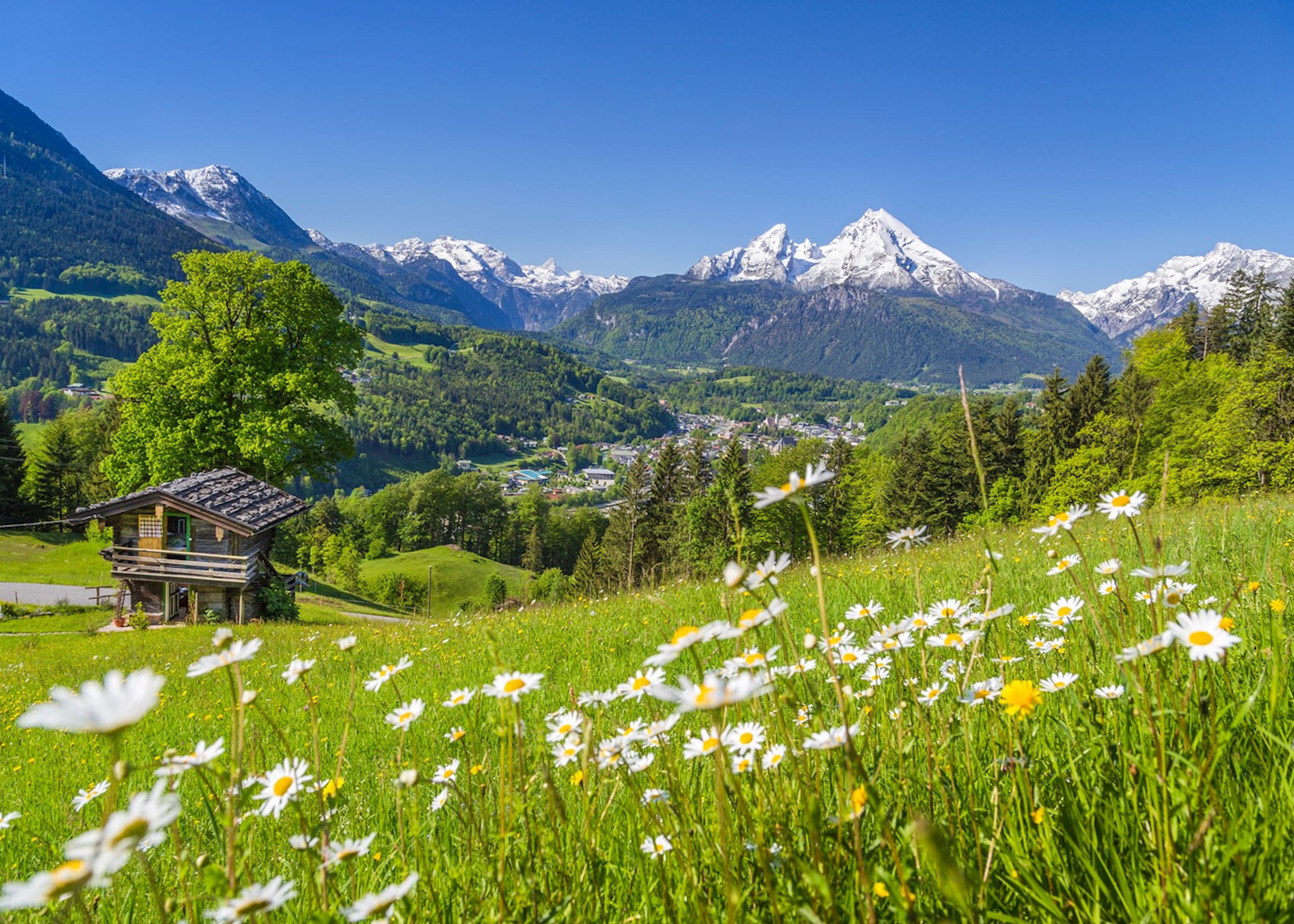 austria alps tour