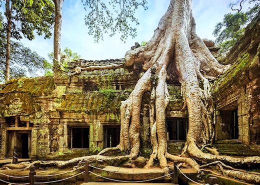 Ta Prohm