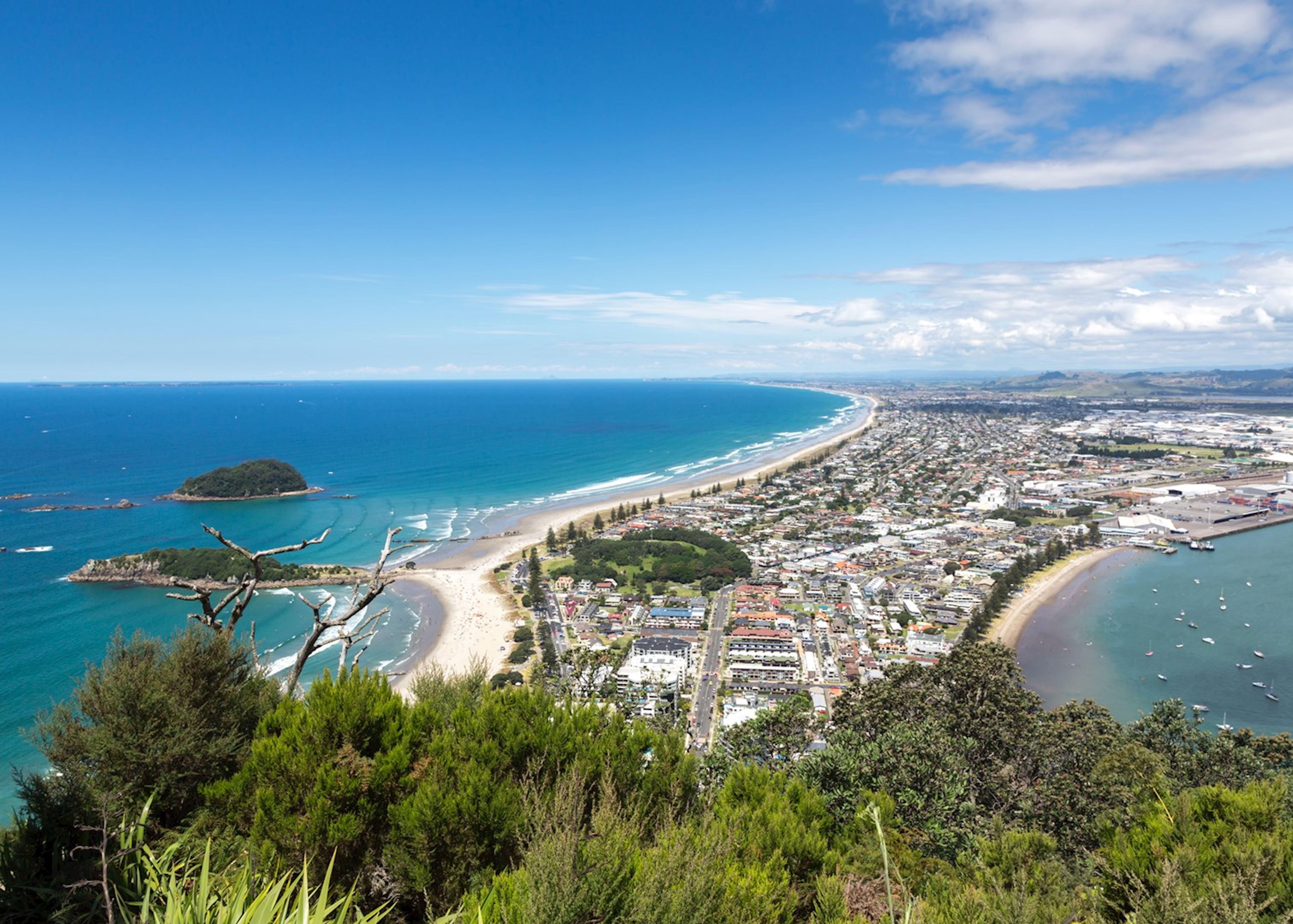 nz study tours tauranga