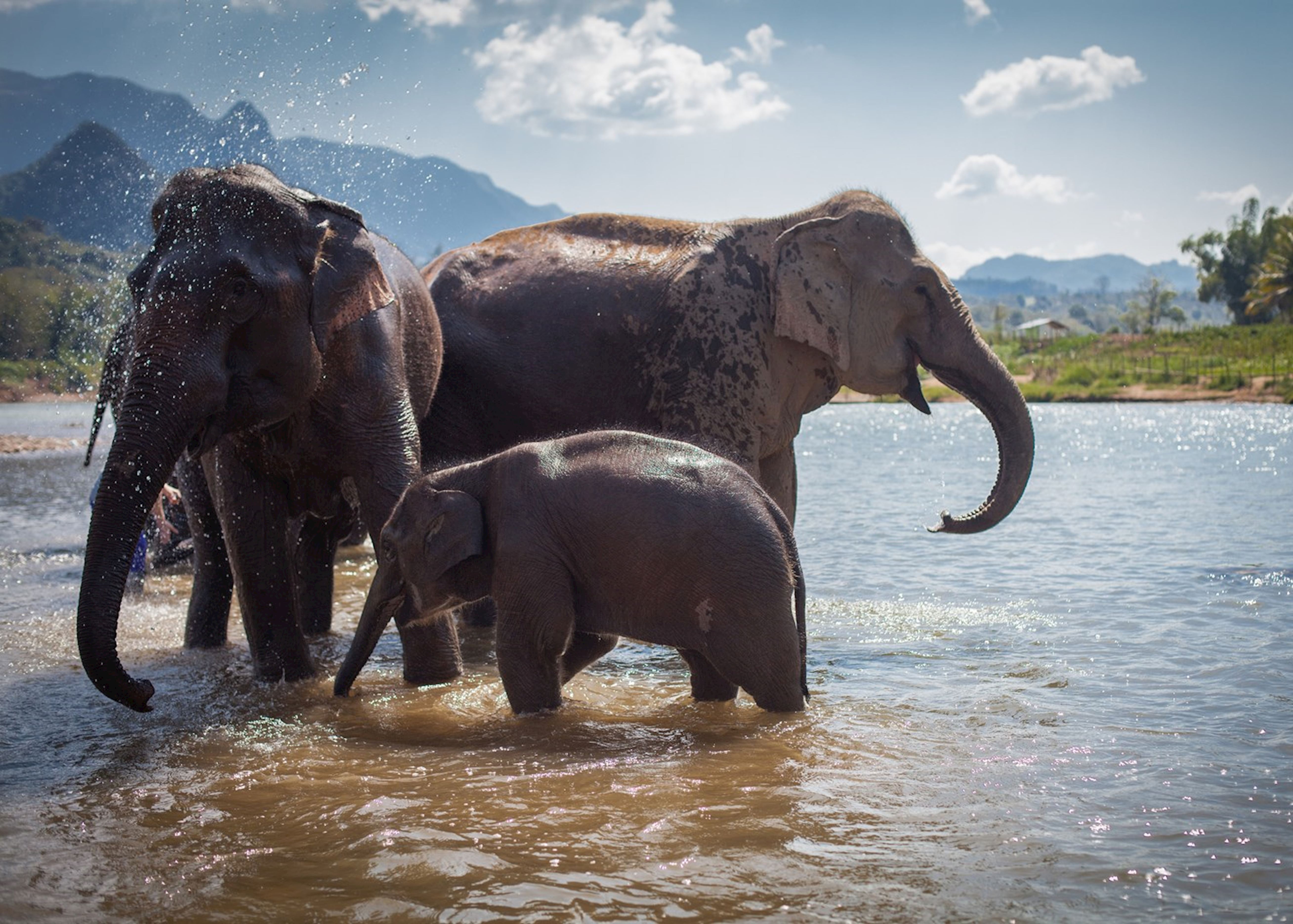 The Responsible Approach Audley S Elephant Experiences Audley Travel
