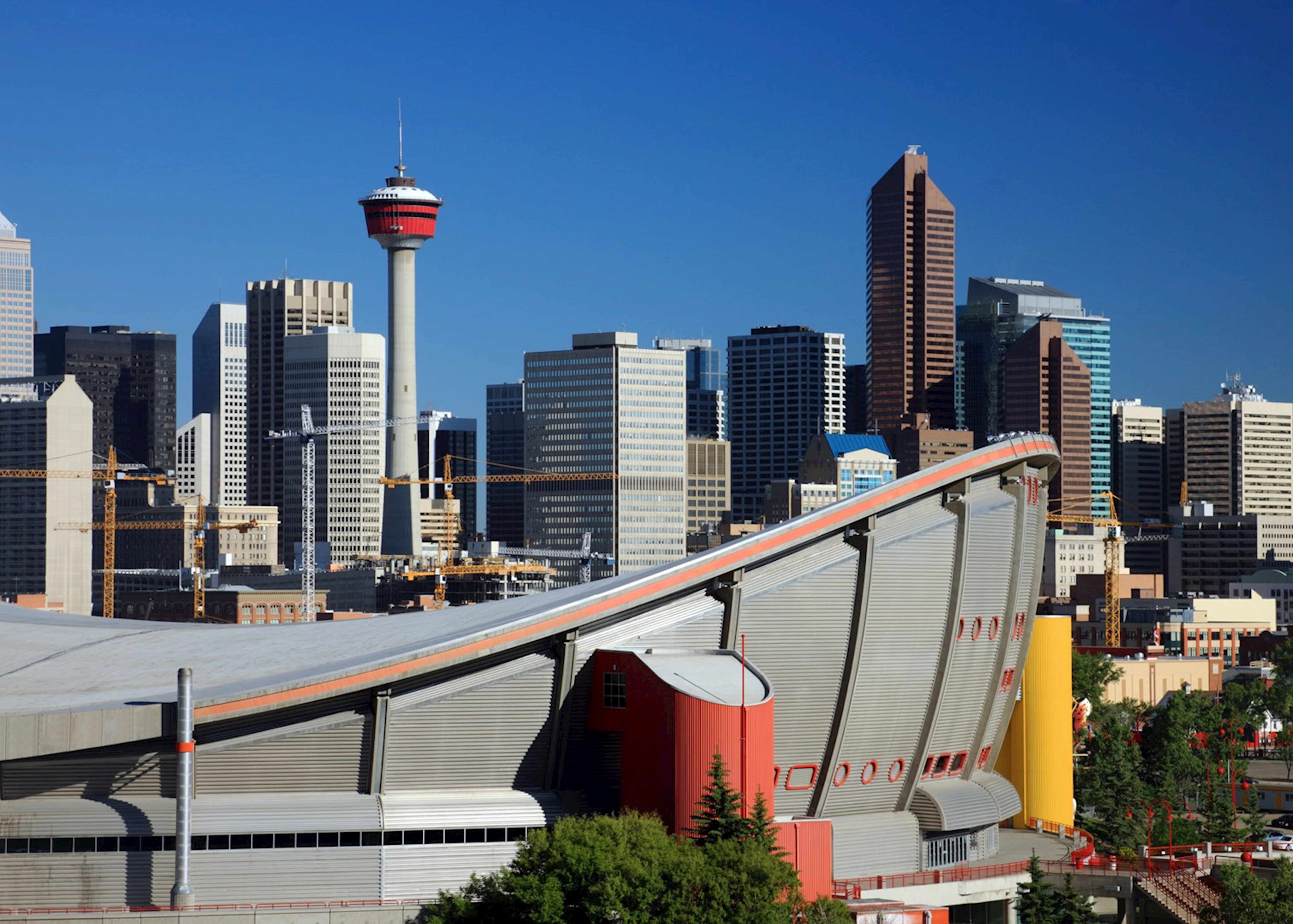 calgary tourism packages
