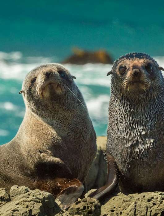 Best Time to Visit New Zealand Climate Guide Audley Travel US