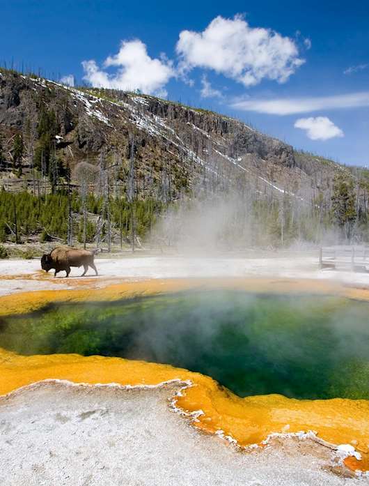Winter in Yellowstone National Park Audley Travel US