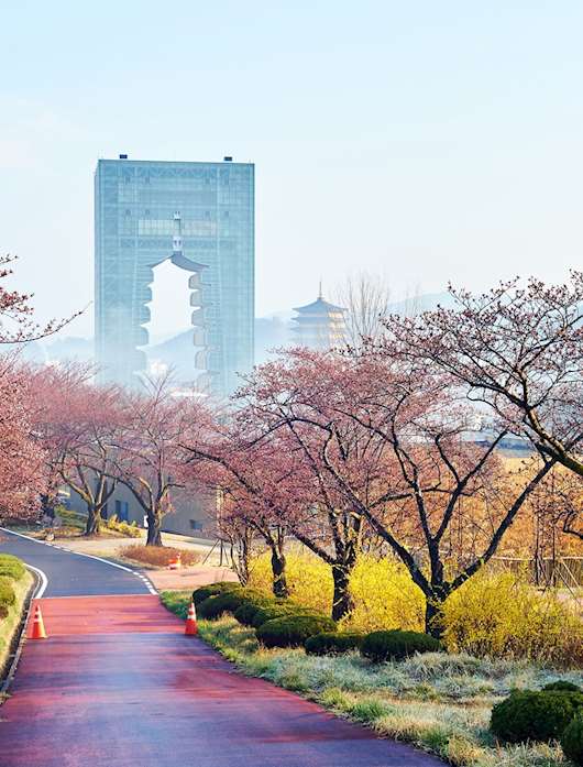Best Time to Visit South Korea Best Months for Travel Audley Travel UK