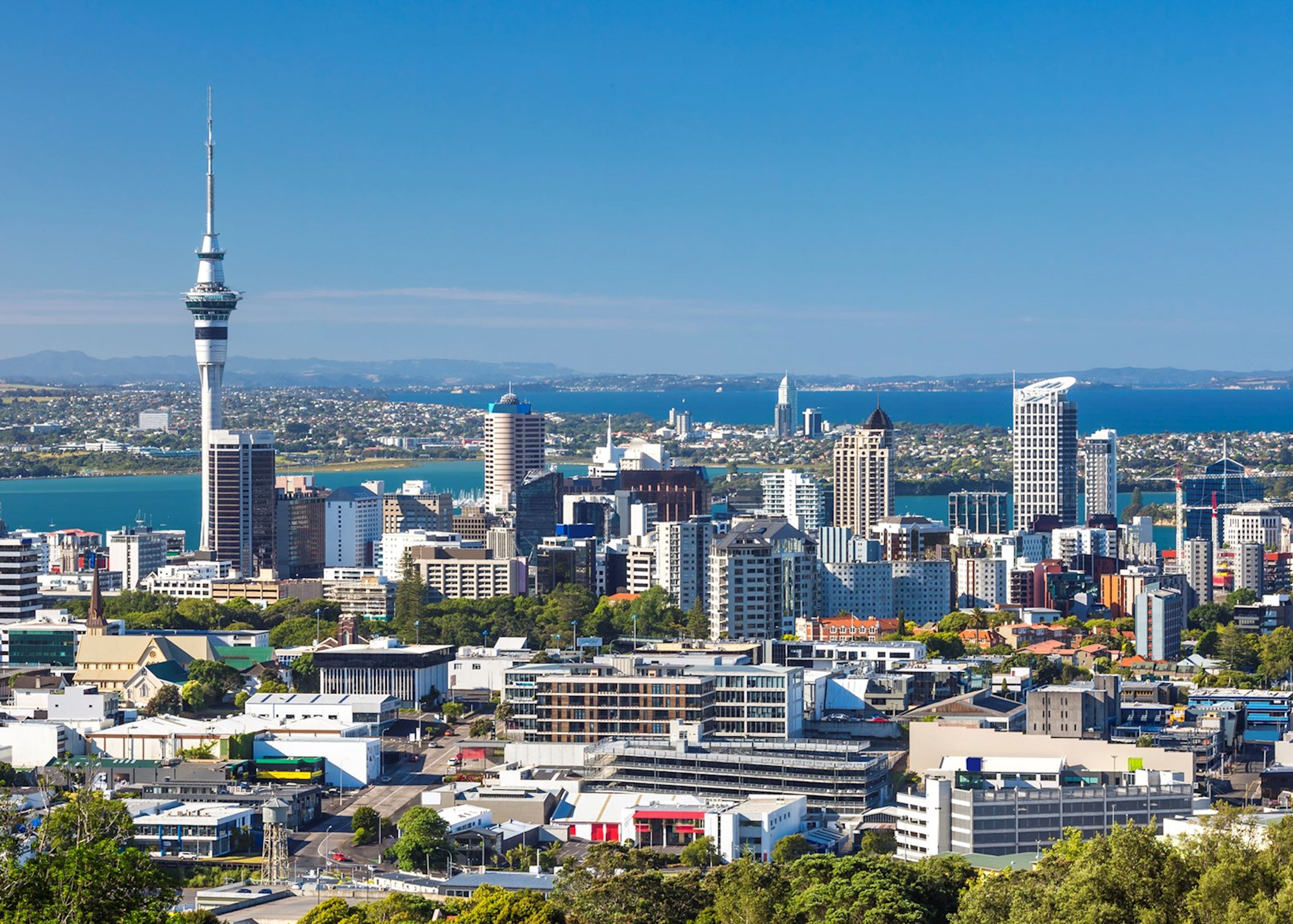 free tours auckland