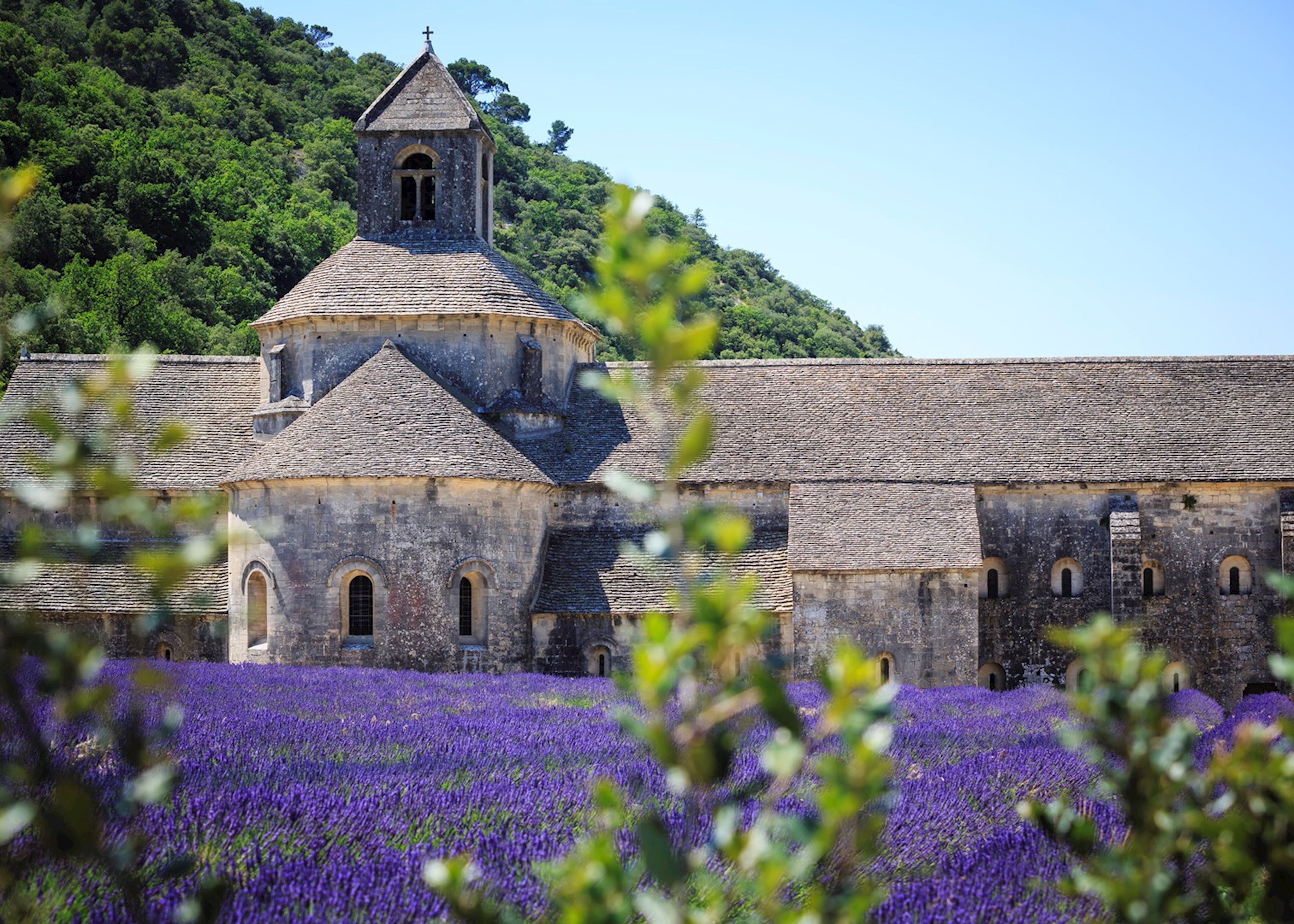 Highlights of Provence US | Audley Travel