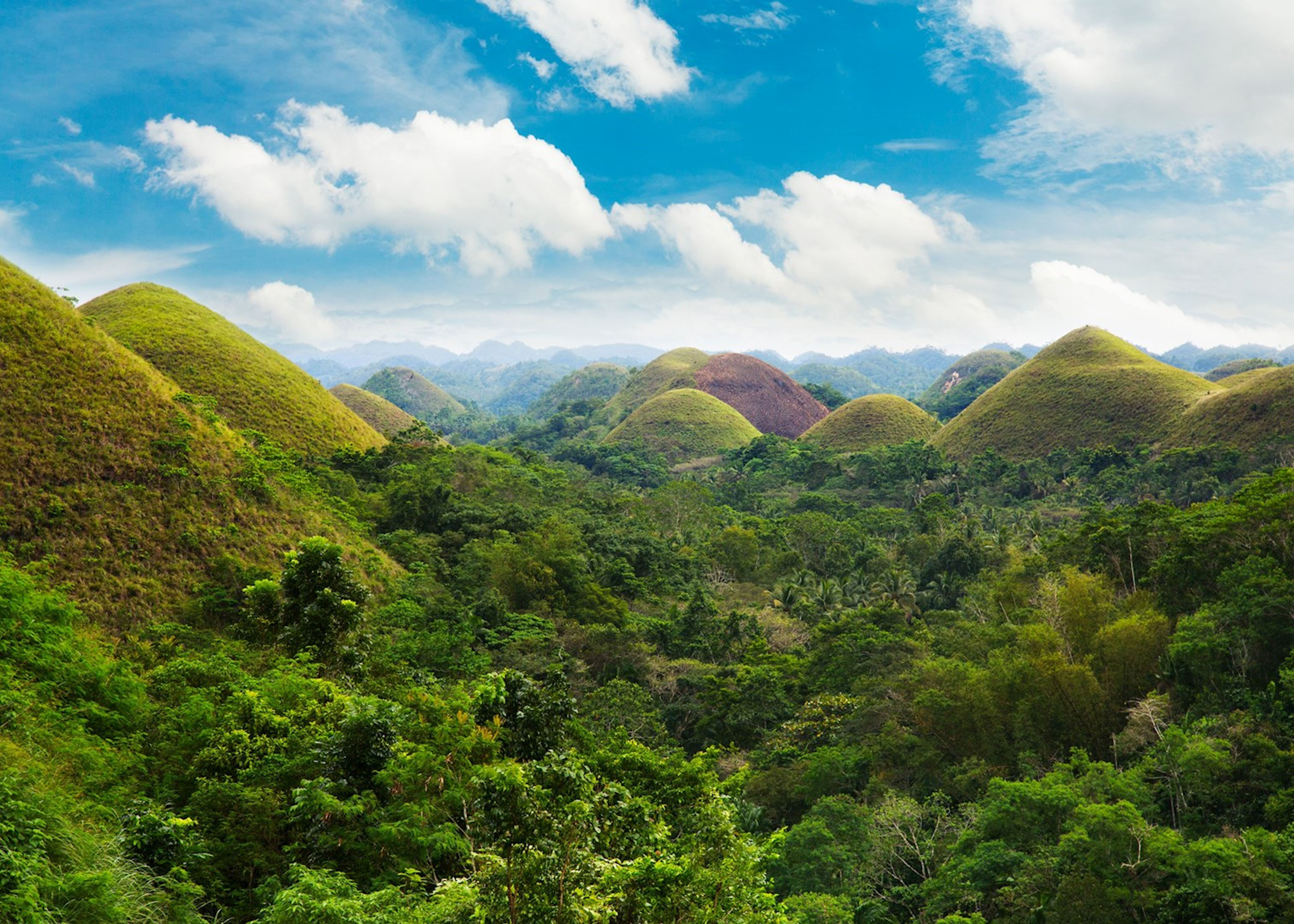 Exploring The Chocolate Hills Of Bohol Philippines