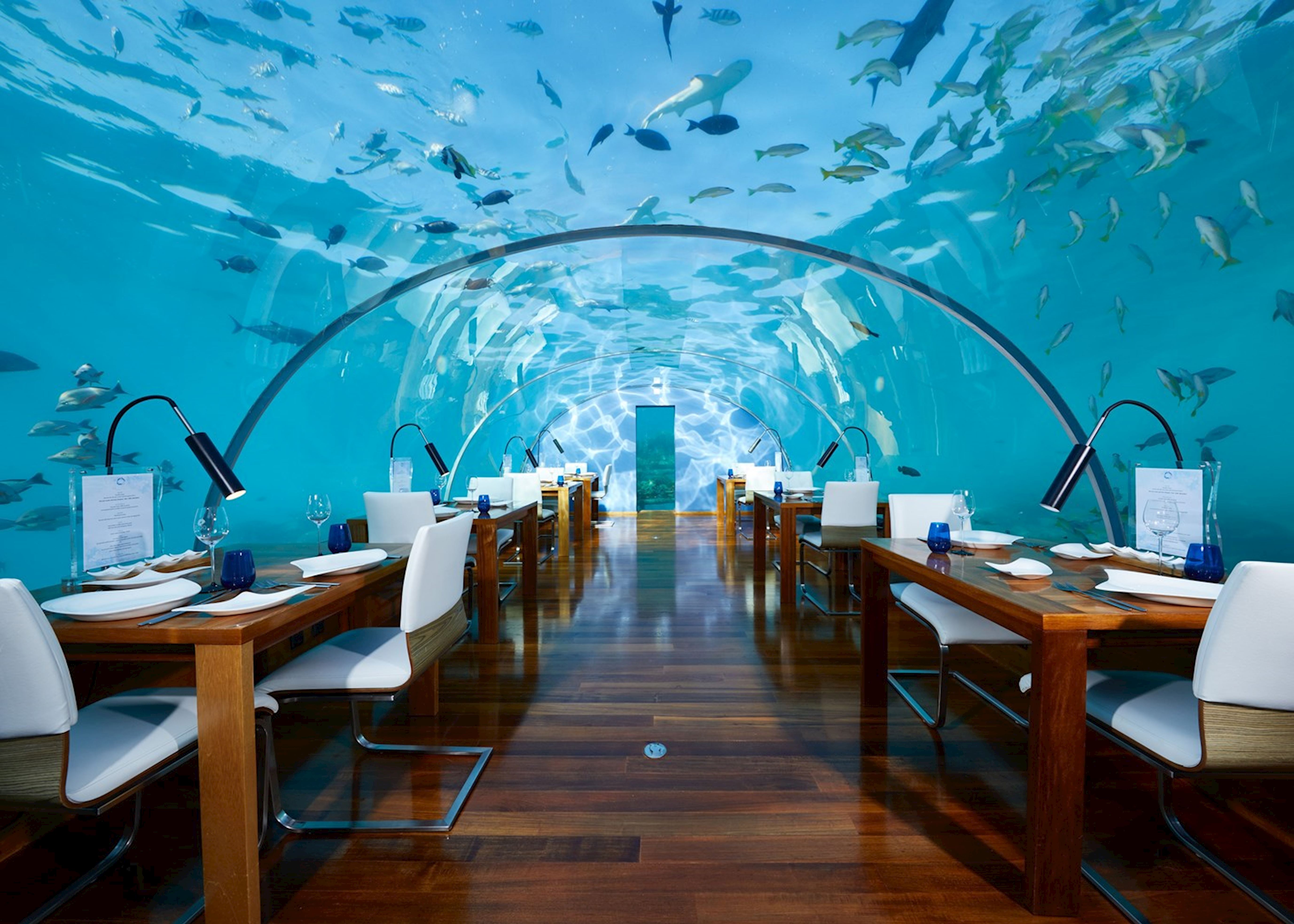 Сколько ресторанов в мире. Ithaa Undersea Restaurant (Мальдивы). Conrad Maldives Rangali Island, Мальдивы. Ithaa Undersea ресторан. Ithaa — первый в мире подводный ресторан.