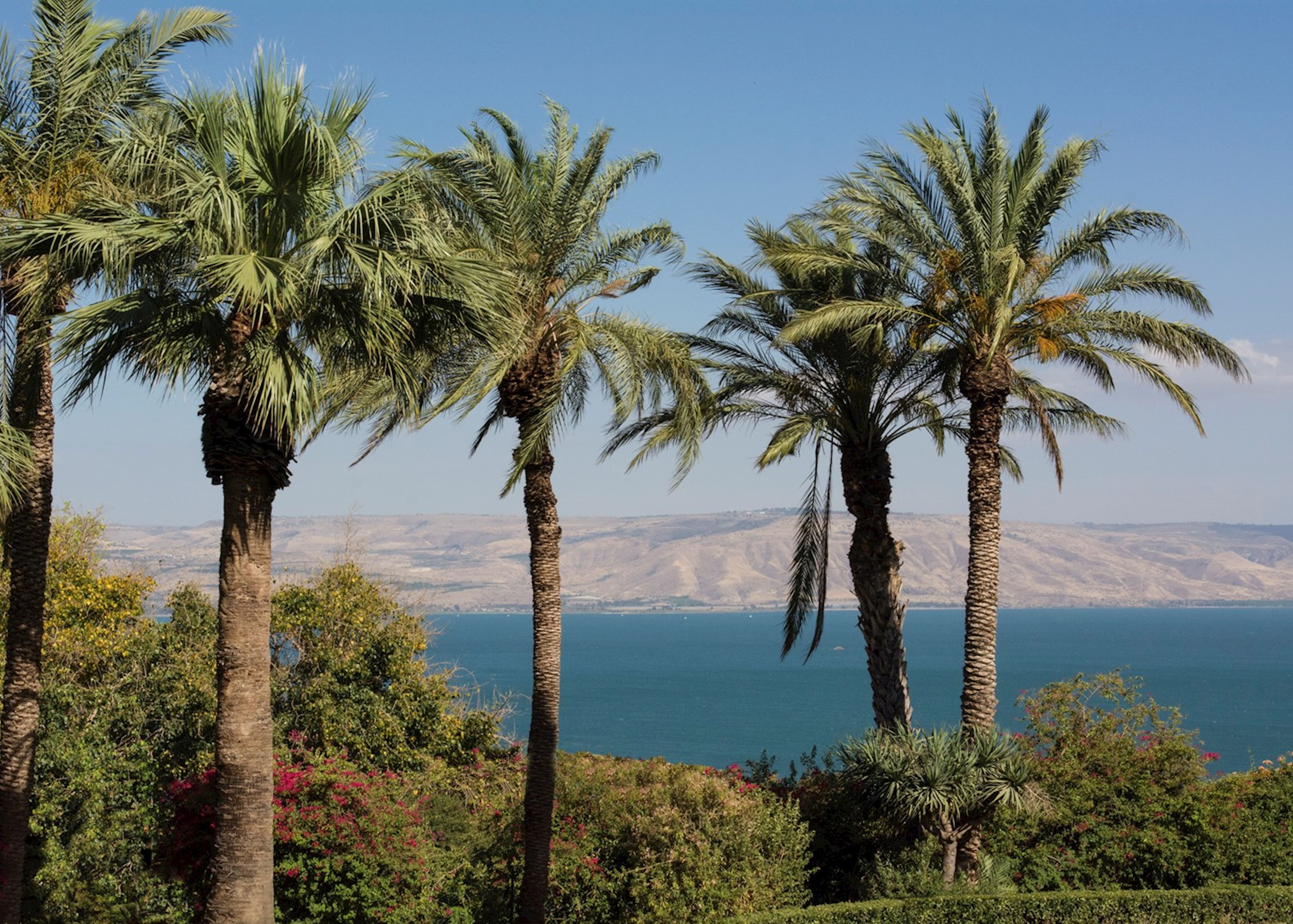 visit galilee on a trip to israel | audley travel