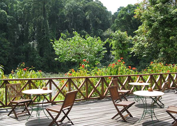 Restaurant balcony, Borneo Rainforest Lodge, Danum Valley Restaurant balcony, Borneo Rainforest Lodge, Danum Valley