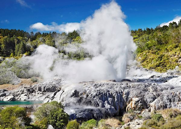 Pohutu geyser, Rotorua