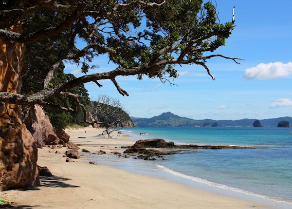 Hahei Beach, Coromandel Peninsula Hahei Beach, Coromandel Peninsula