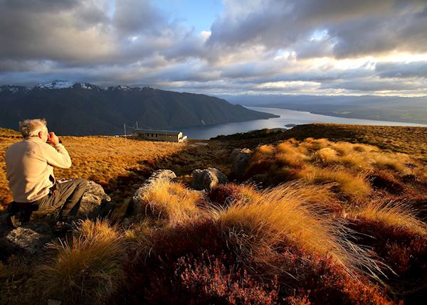 The Kelper Track, Te Anau The Kelper Track, Te Anau