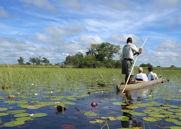 travel adventures maun