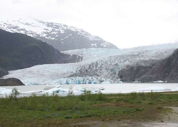 Whale Watching and the Mendenhall Glacier | Audley Travel US