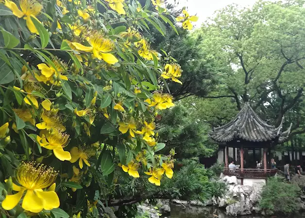 Suzhou gardens