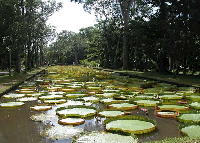 Best Time to Visit Mauritius | Climate Guide | Audley Travel