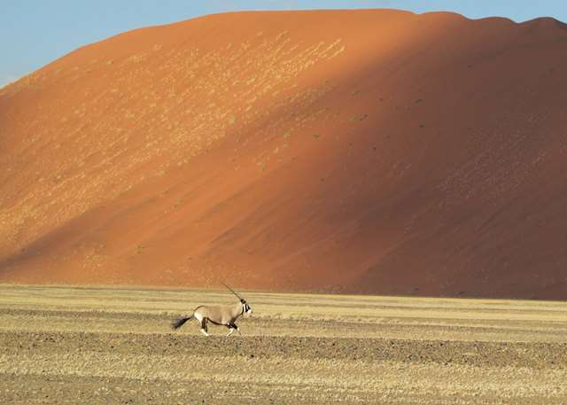 Best Time To Visit Namibia | Climate Guide | Audley Travel UK