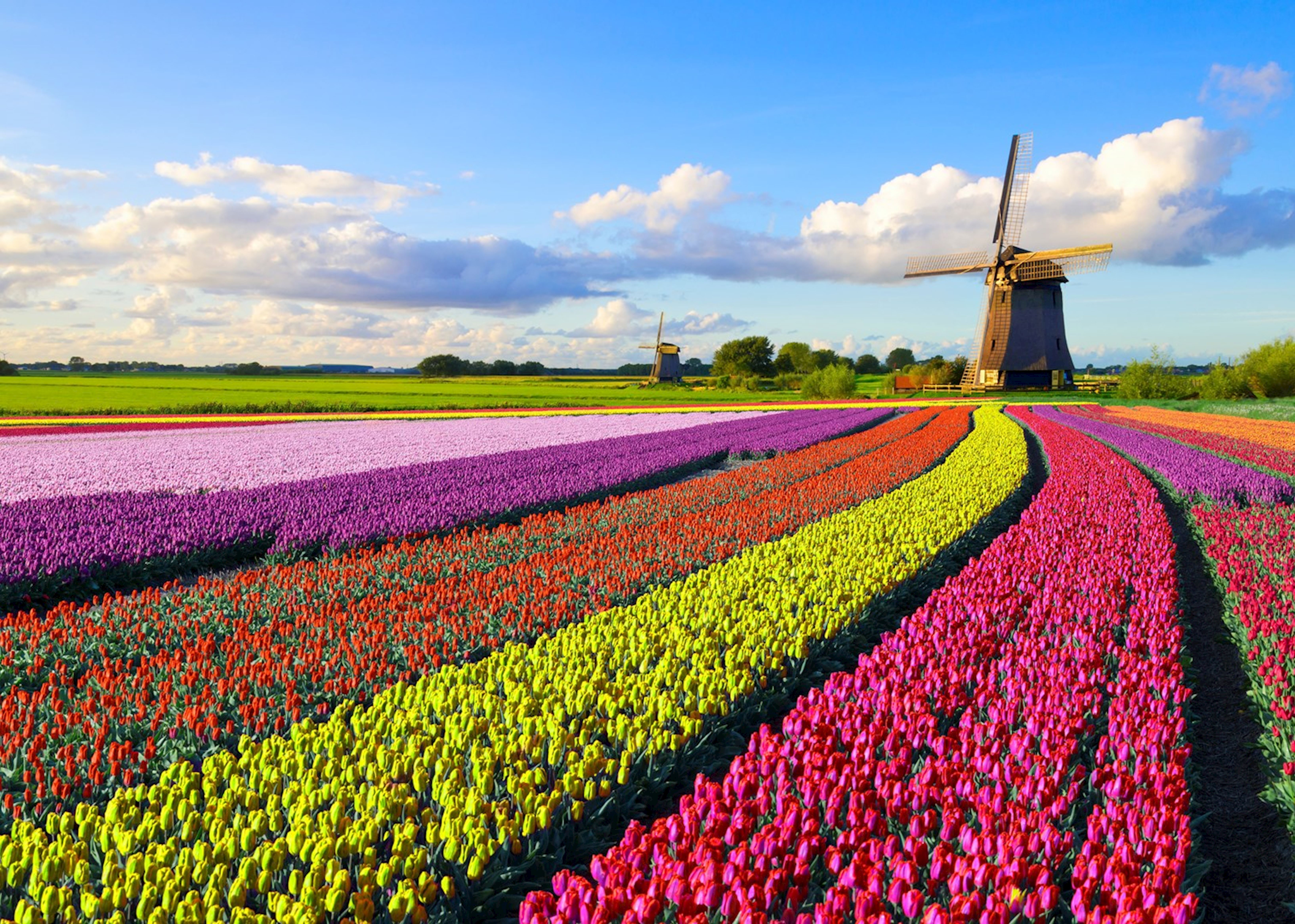 Best Time to Visit the Netherlands Climate Guide Audley Travel US