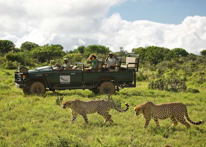 Visit The Eastern Cape Game Areas, South Africa | Audley Travel US