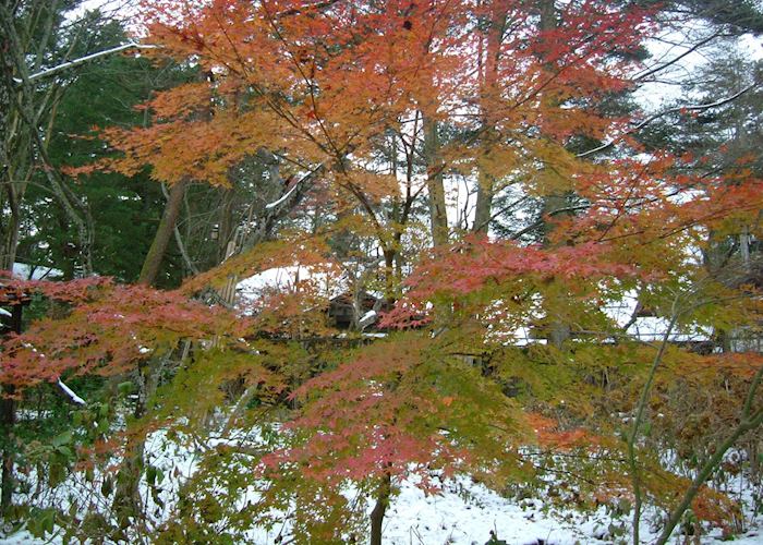 Kakunodate, Japan Kakunodate, Japan