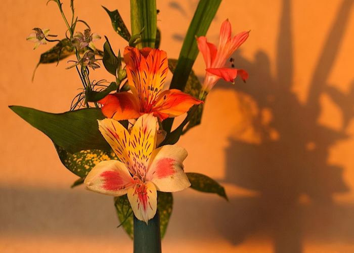 Ikebana flower arrangement Ikebana flower arrangement