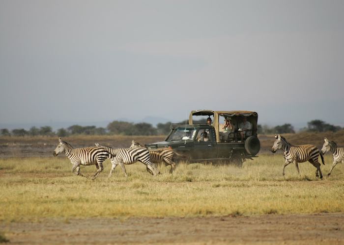 Game drive at Shompole