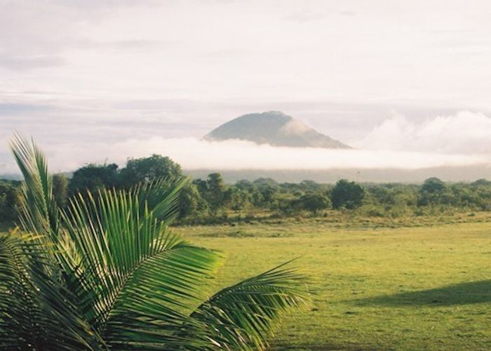 Early morning at Dadanawa, Guyana
