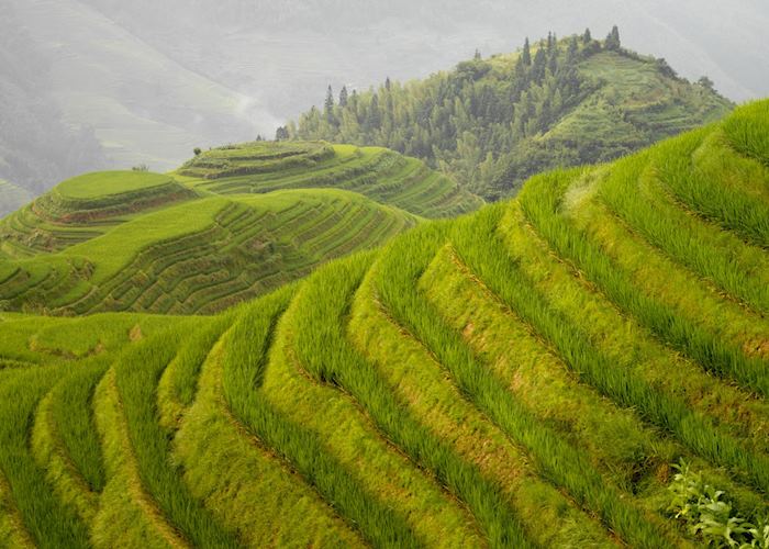 Longji, China
