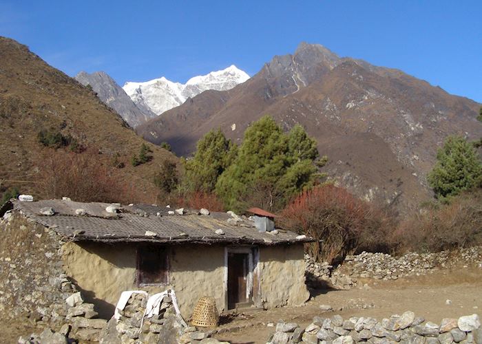 Tashinga, Nepal