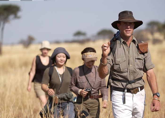 Bush Walk, Migration Camp, Serengeti National Park