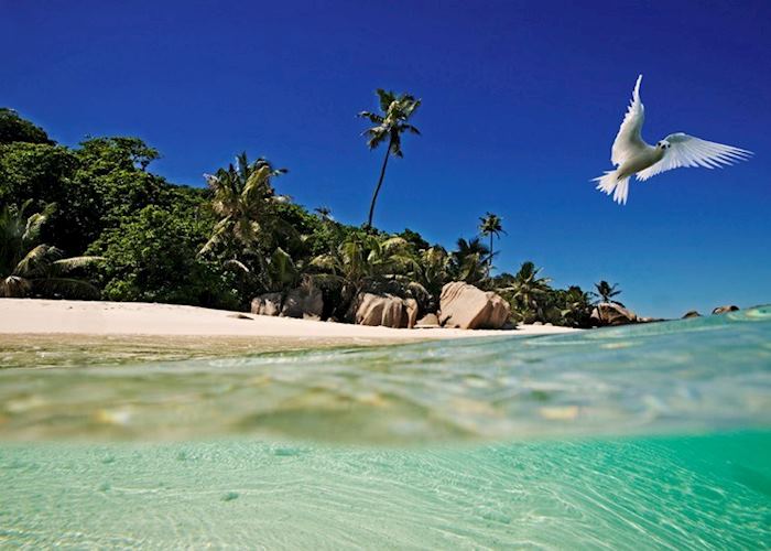 Cousine Island, Seychelles