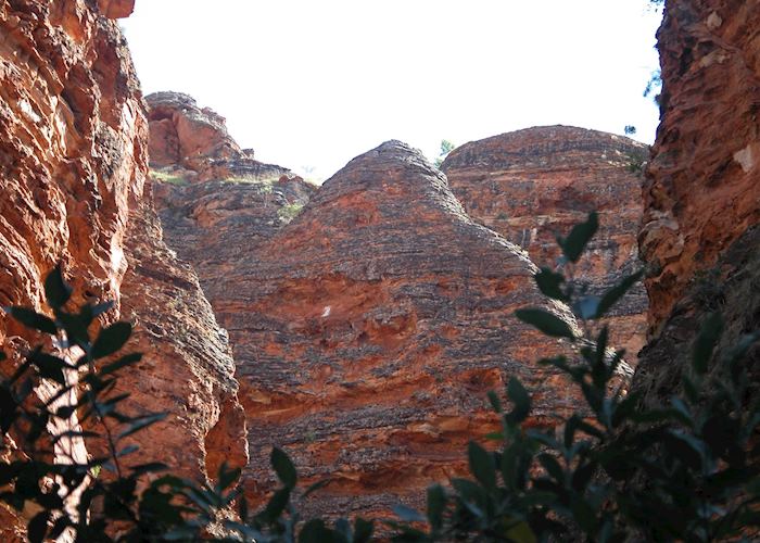 Catherdral Gorge, The Bungle Bungle Range, Purnululu National Park