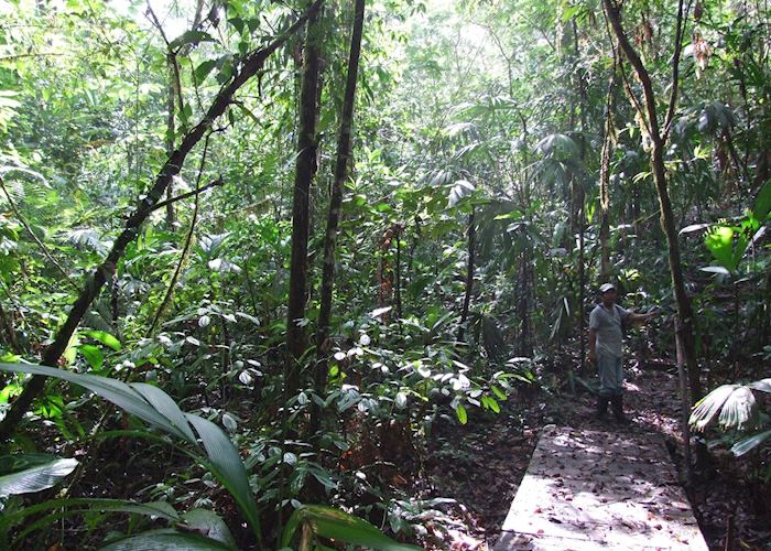 Walking in the Indio Maiz Biological Reserve