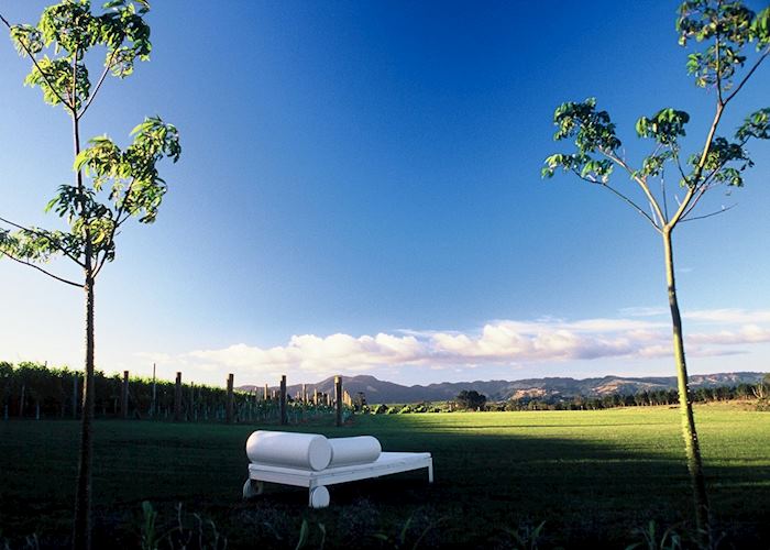 Takatu Vineyard & Lodge, Warkworth