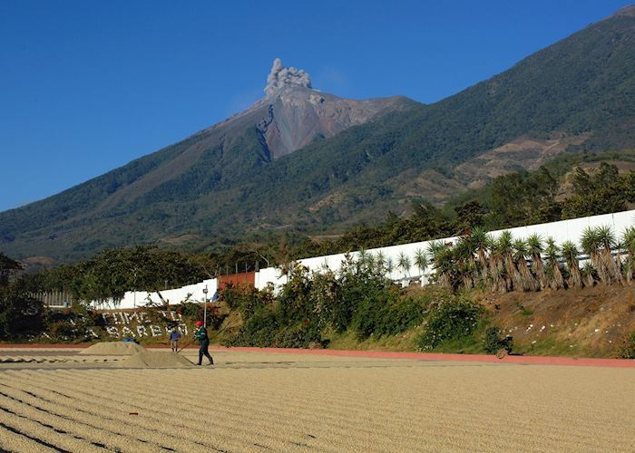 El Fuego Volcano, Antigua, Guatemala
