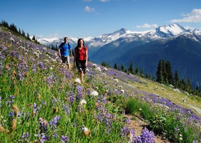 Walking in the mountains near Whistler