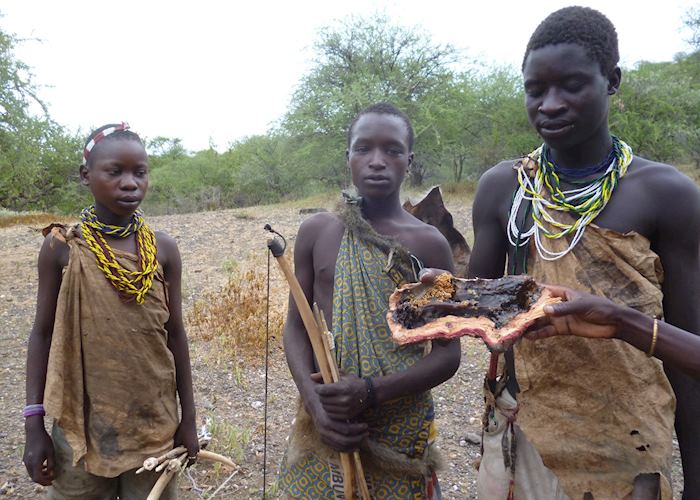 Honey found by the Hadzabe tribesmen on a hunt, Lake Eyasi, Tanzania