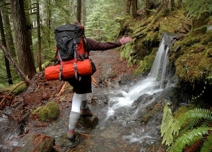 Hiking in Olympic National Park
