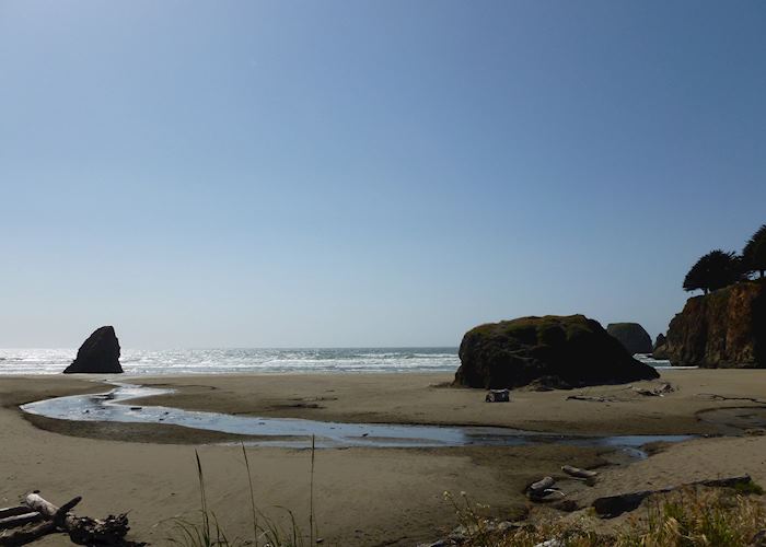 A beach near Highway 101 between Mendocino and Eureka