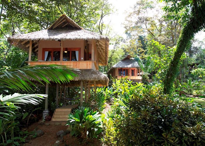 Cabinas, Copa de Arbol Beach & Rainforest Resort,Copa de Arbol