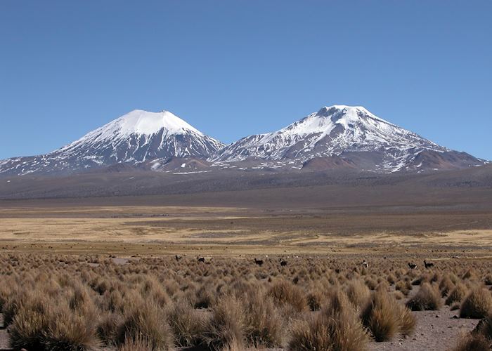 Sajama National Park, Bolivia